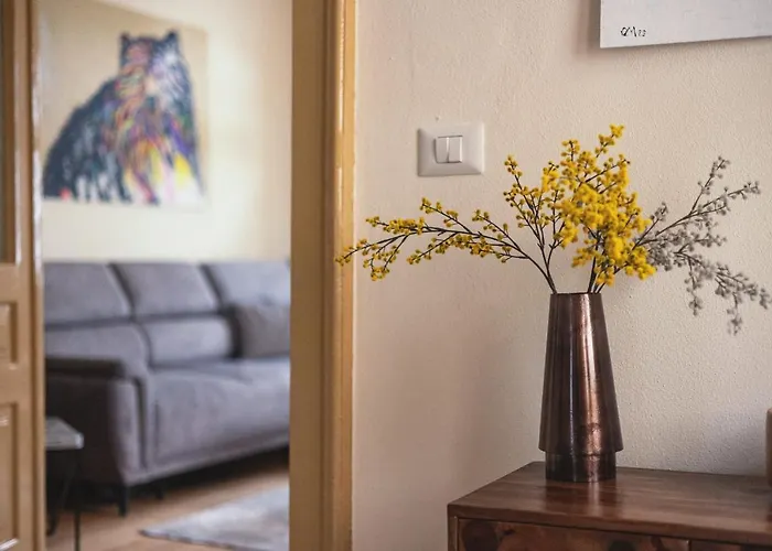 La Cote 26 - Restored Saxon Style House In The Old Town With Jacuzzi And Private Parking Holiday home